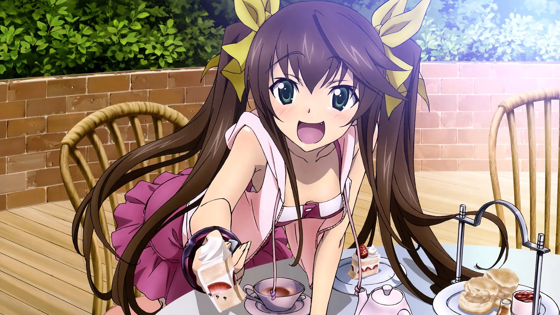 Foto do filme IS: Infinite Stratos