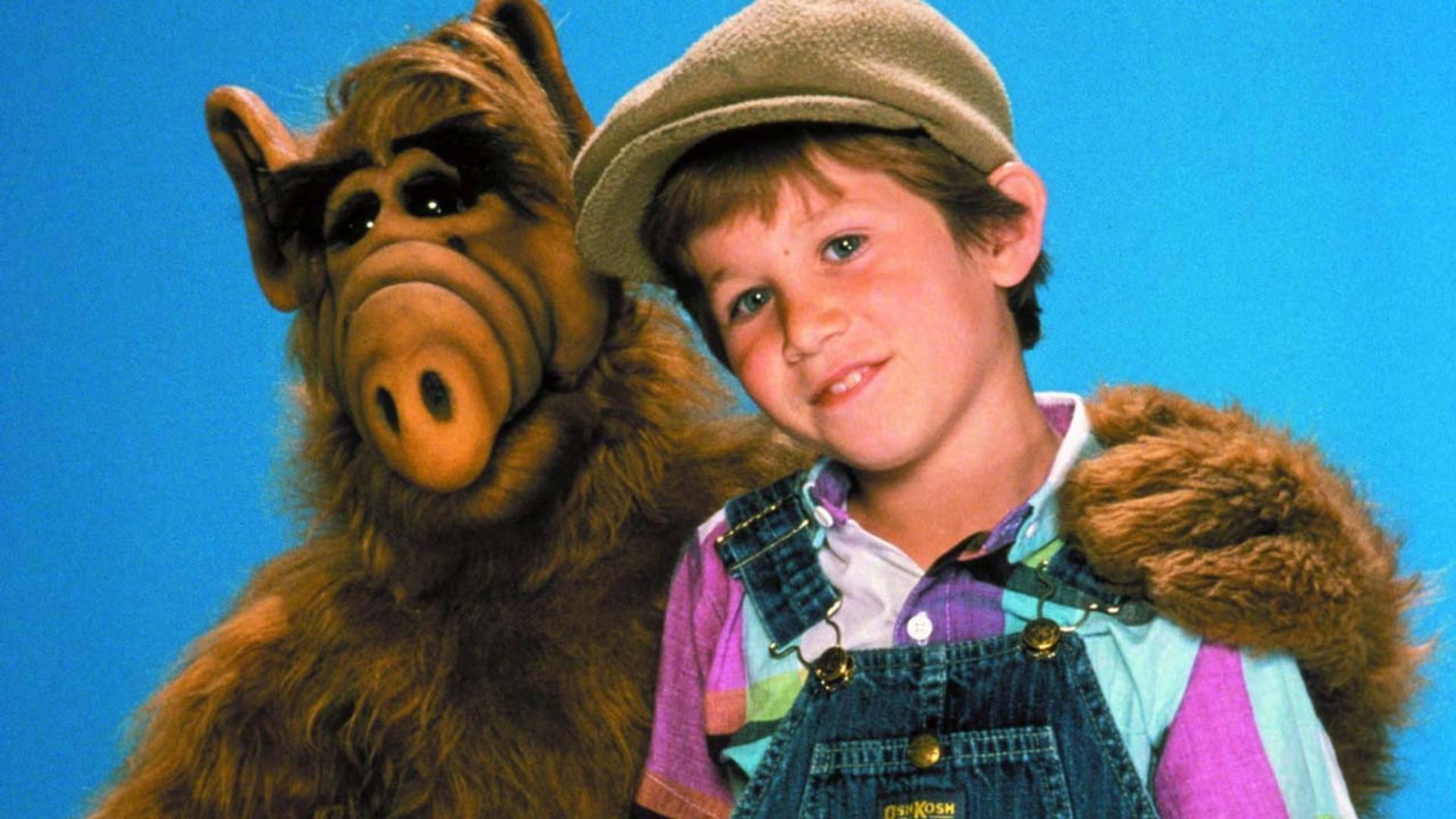 Foto do filme ALF, o ETeimoso
