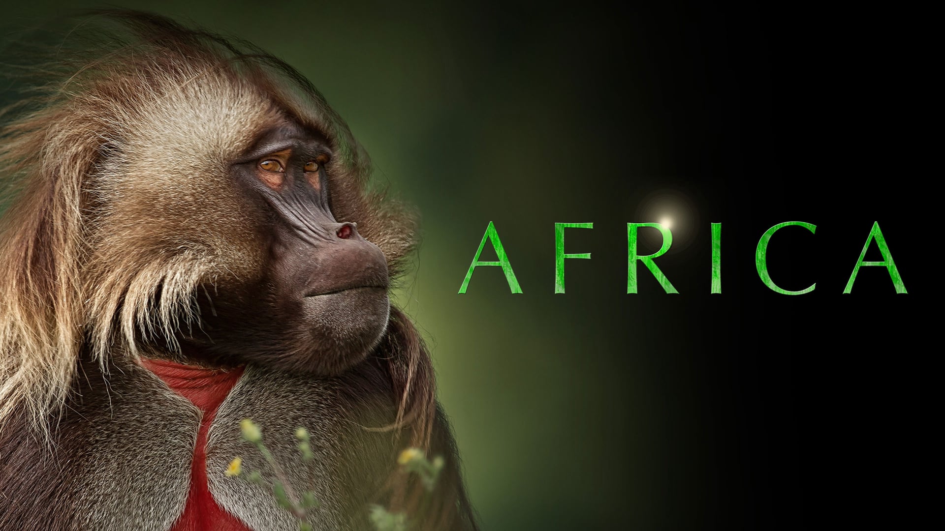 Foto do filme África