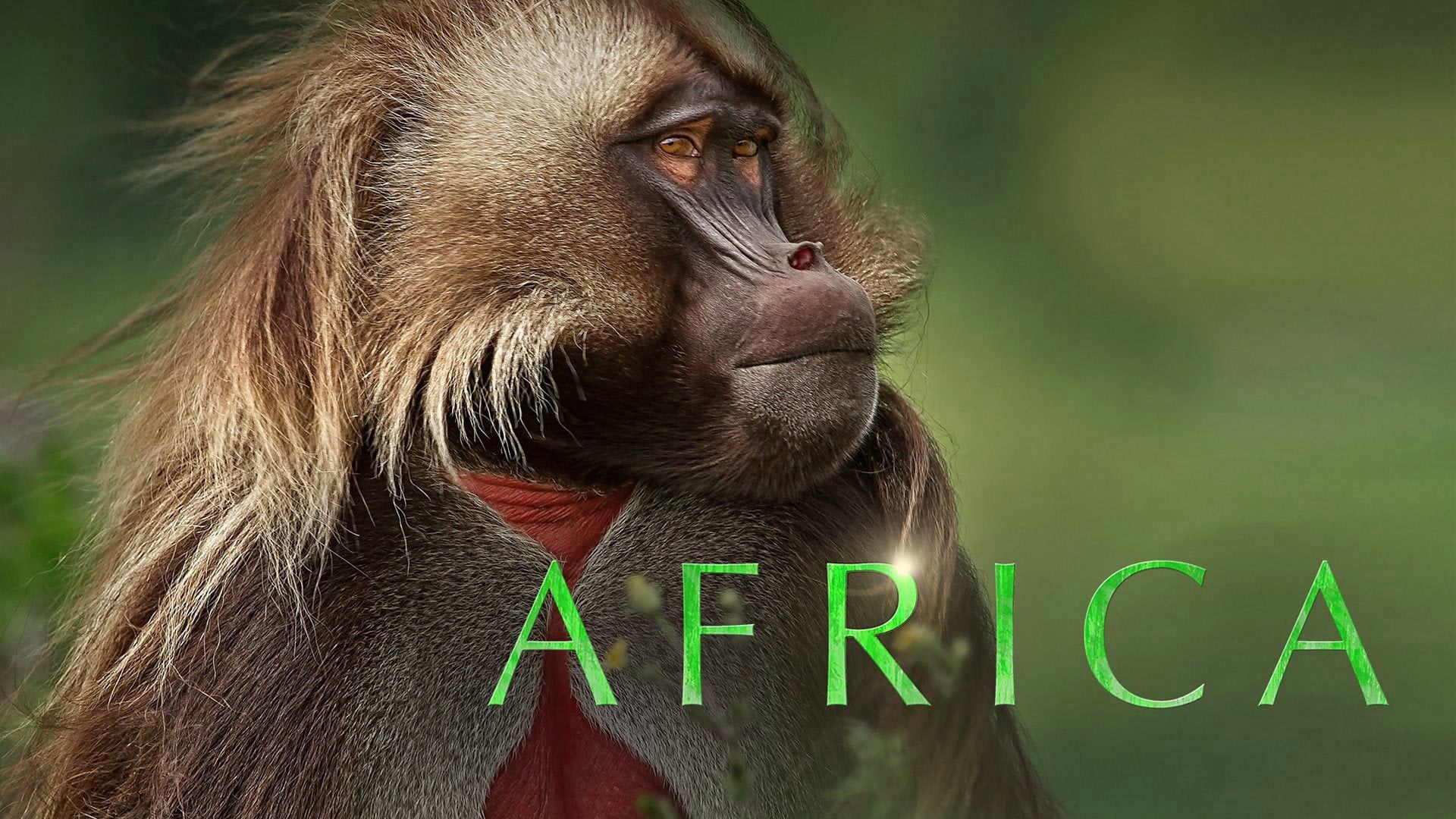 Foto do filme África