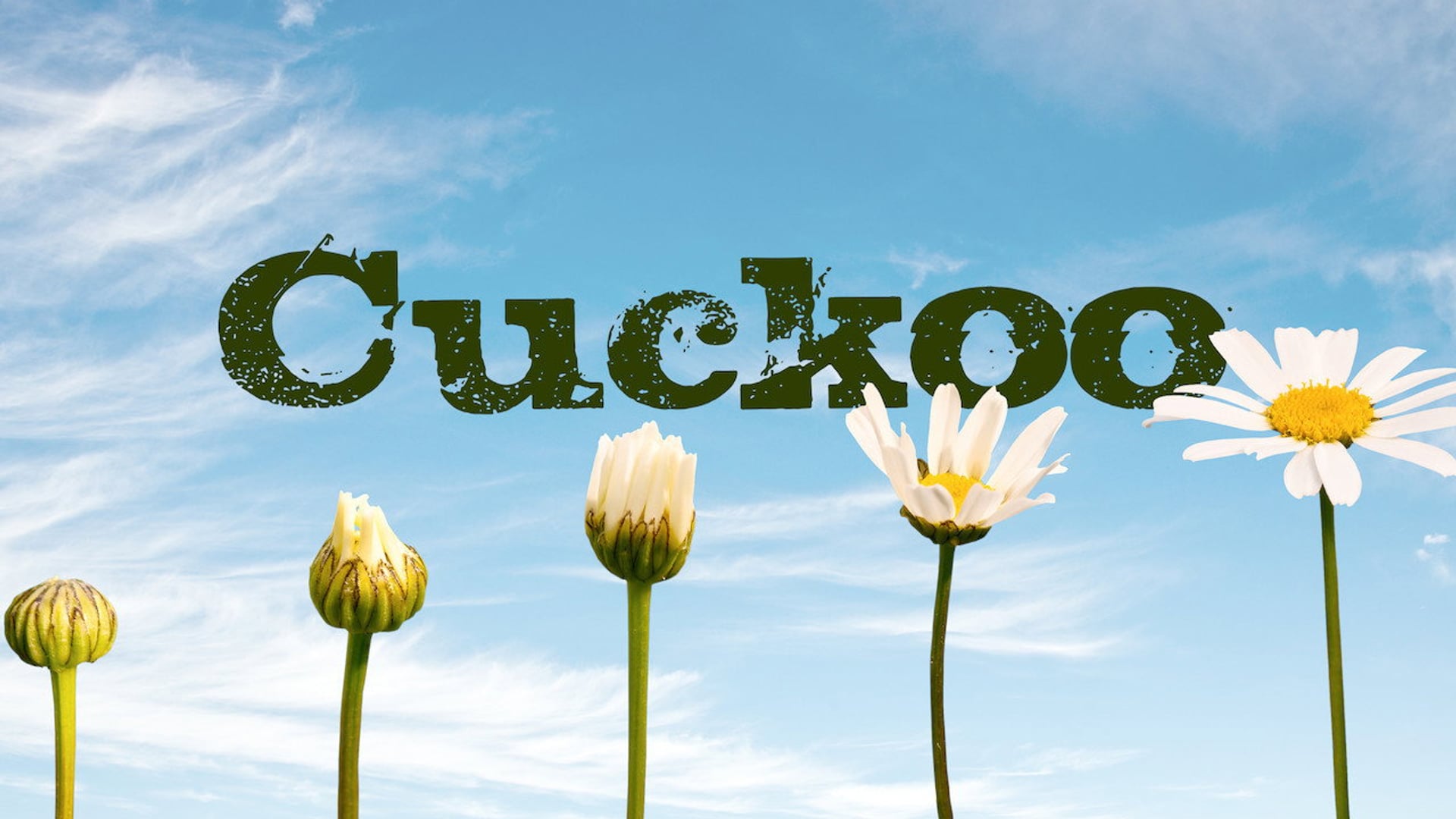 Foto do filme Cuckoo