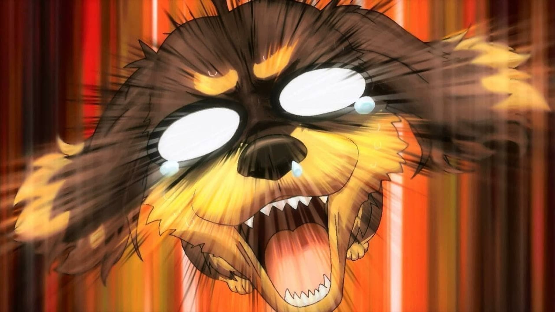 Foto do filme Inu to Hasami wa Tsukaiyou