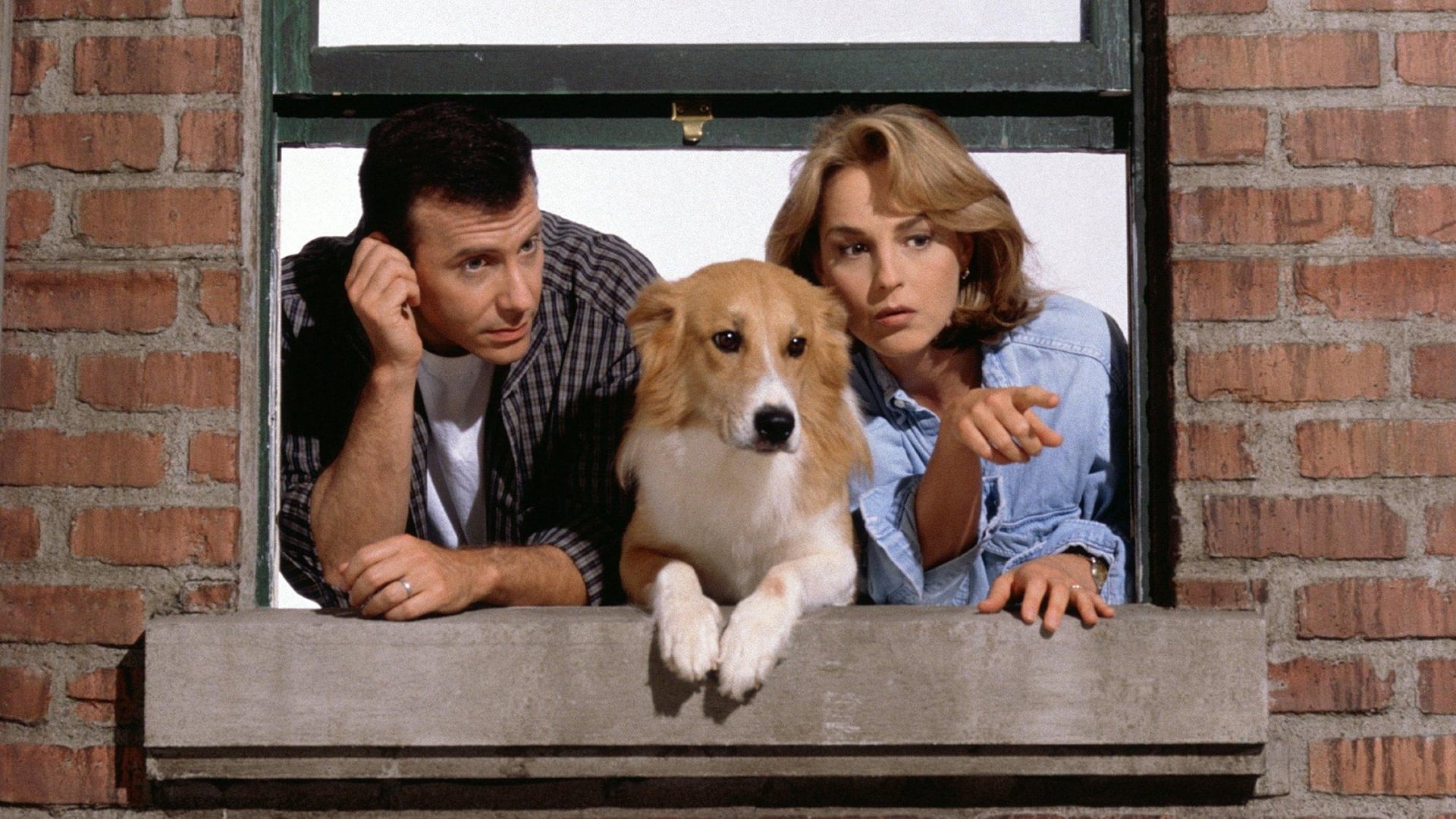 Foto do filme Louco por Você