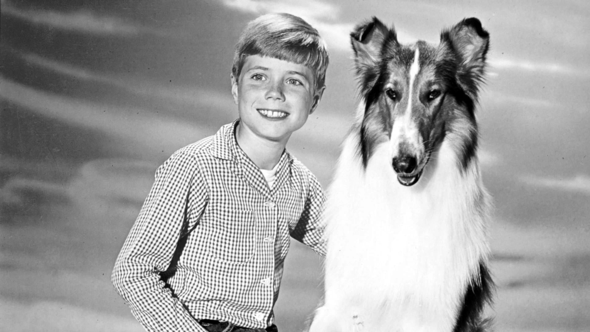 Foto do filme Lassie