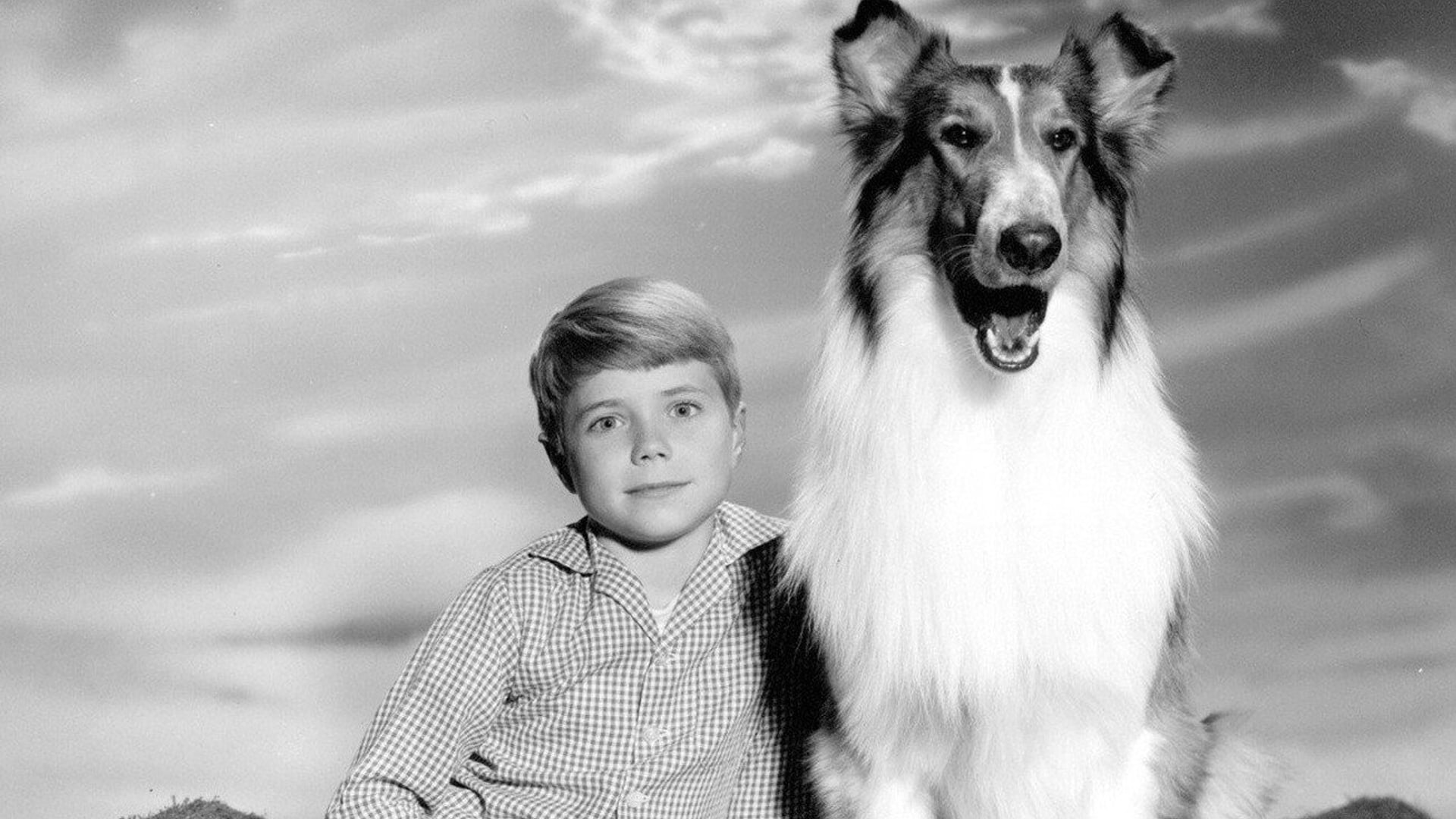 Foto do filme Lassie