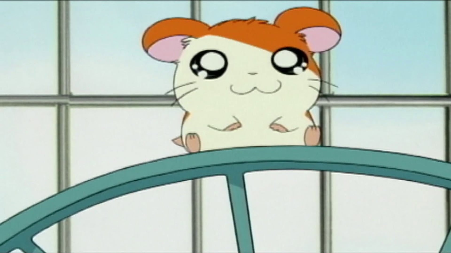 Foto do filme Hamtaro