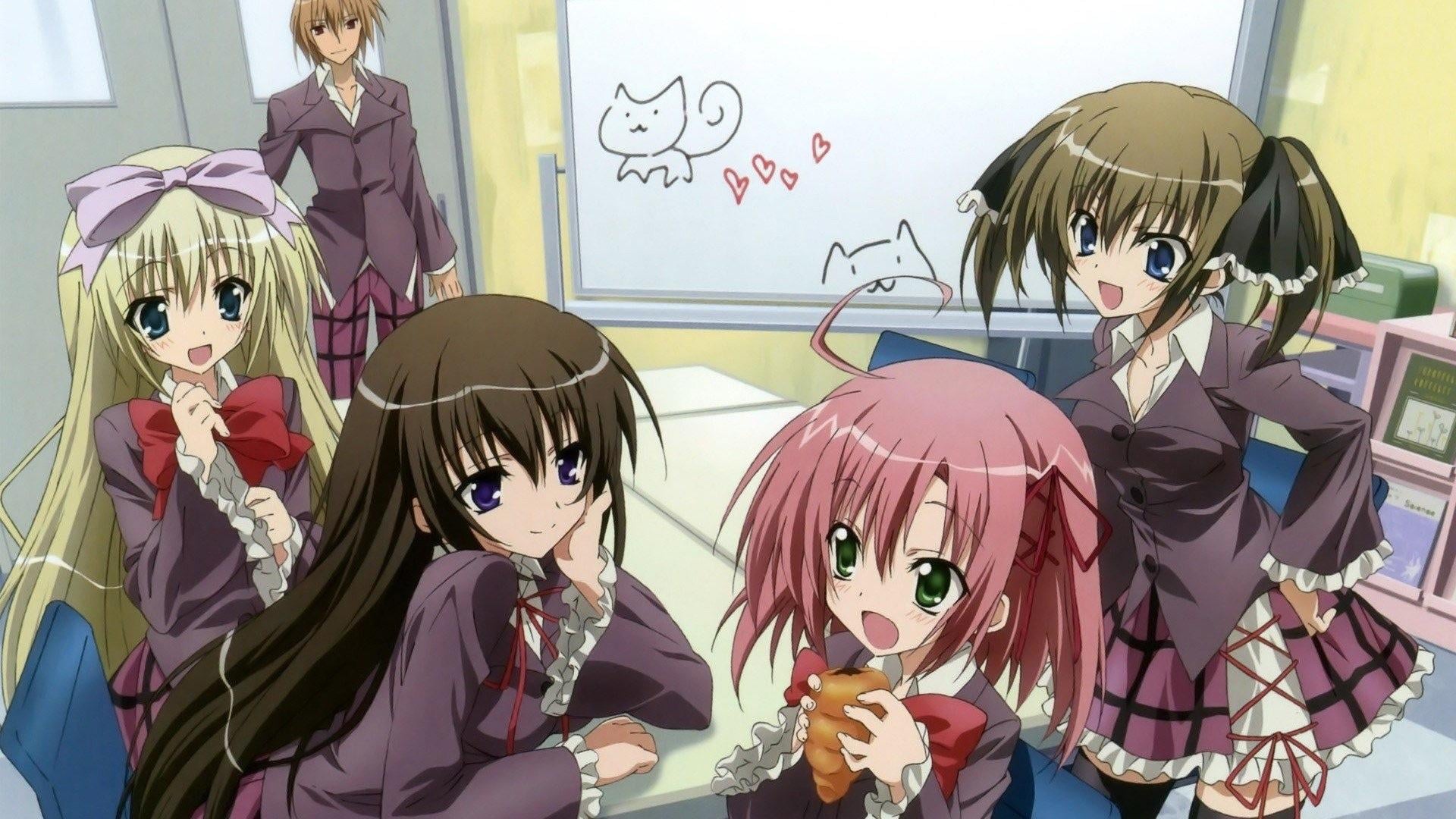 Foto do filme Seitokai no Ichizon