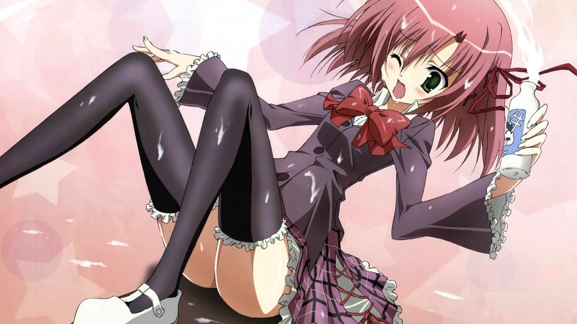 Foto do filme Seitokai no Ichizon