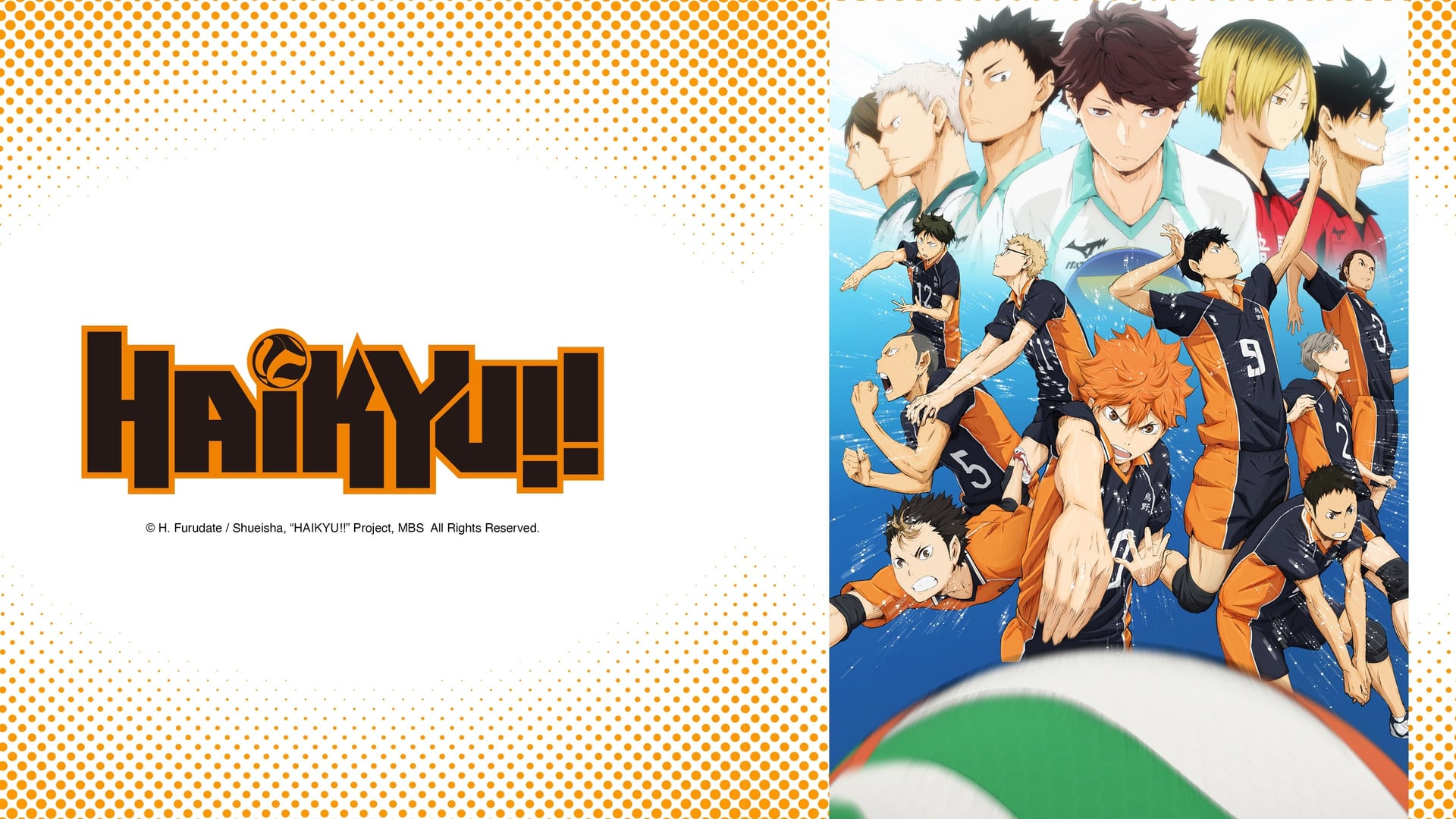 Foto do filme HAIKYU!!