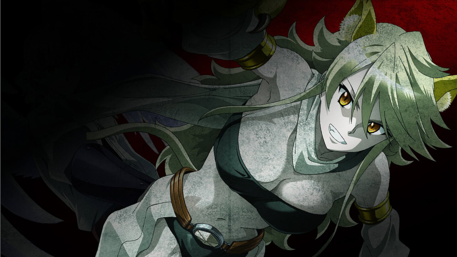 Foto do filme Akame ga Kill!