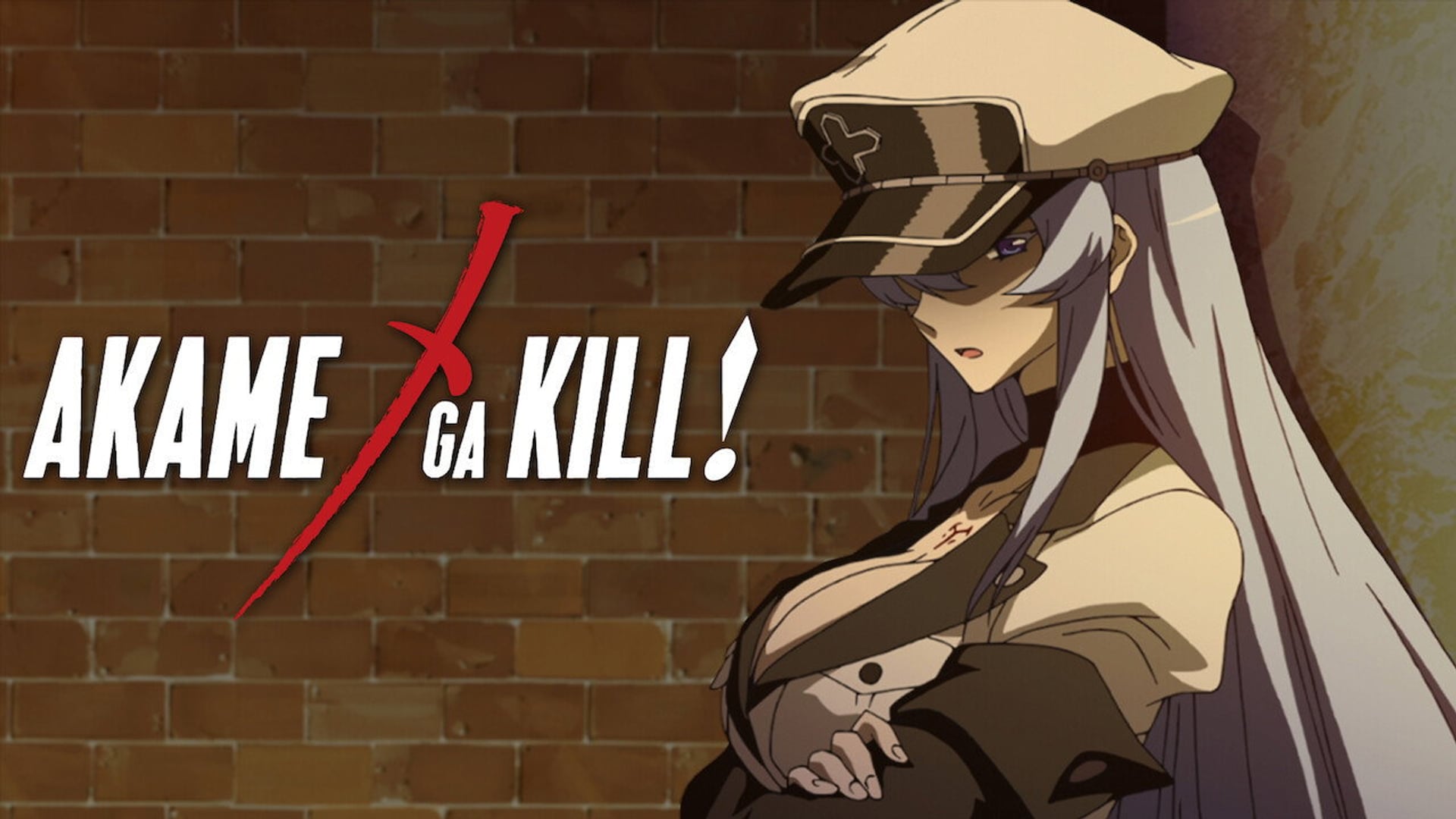 Foto do filme Akame ga Kill!