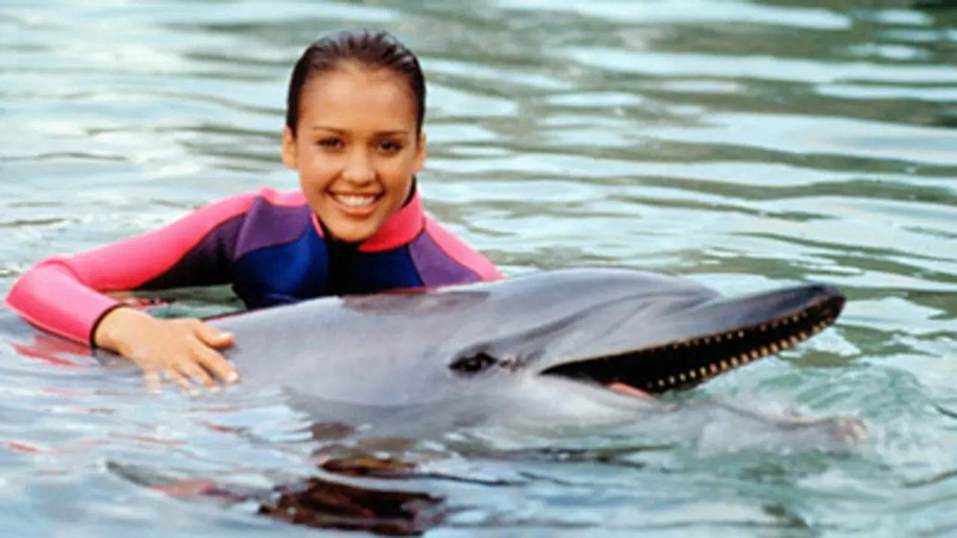 Foto do filme As Novas Aventuras de Flipper