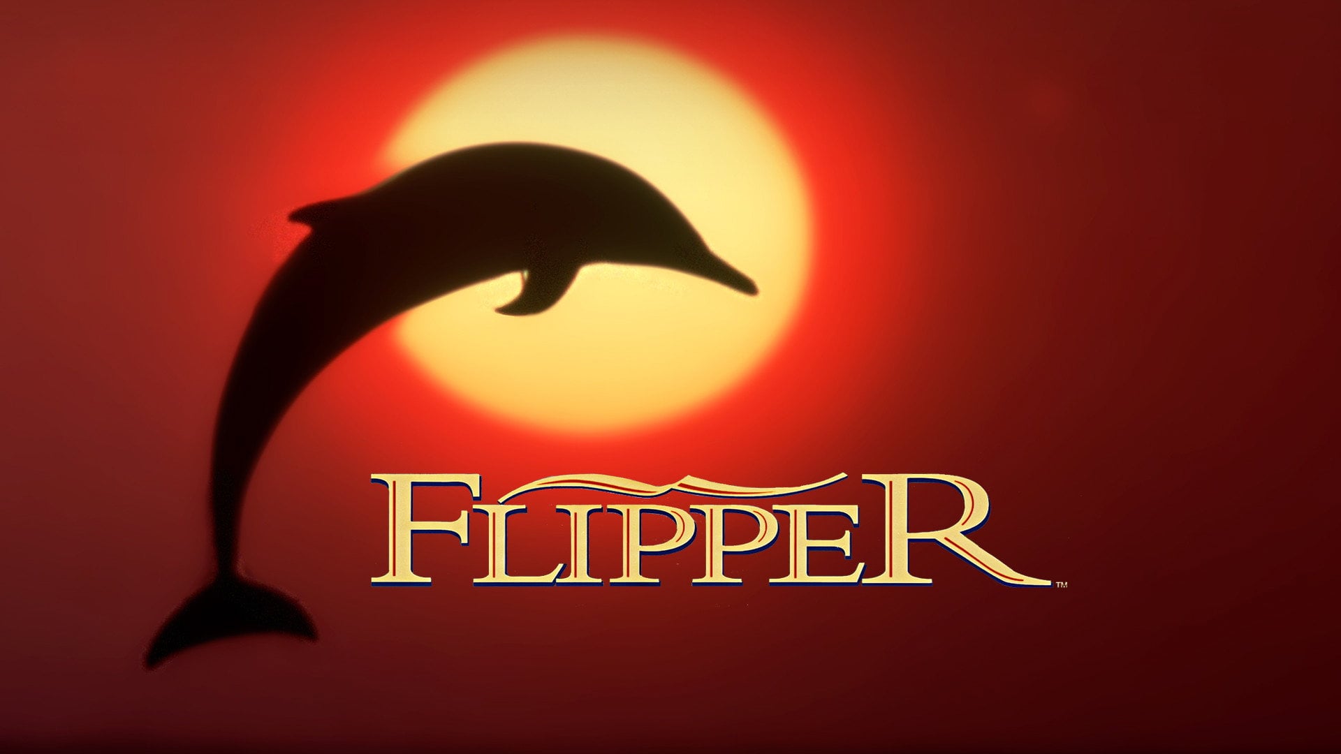Foto do filme As Novas Aventuras de Flipper