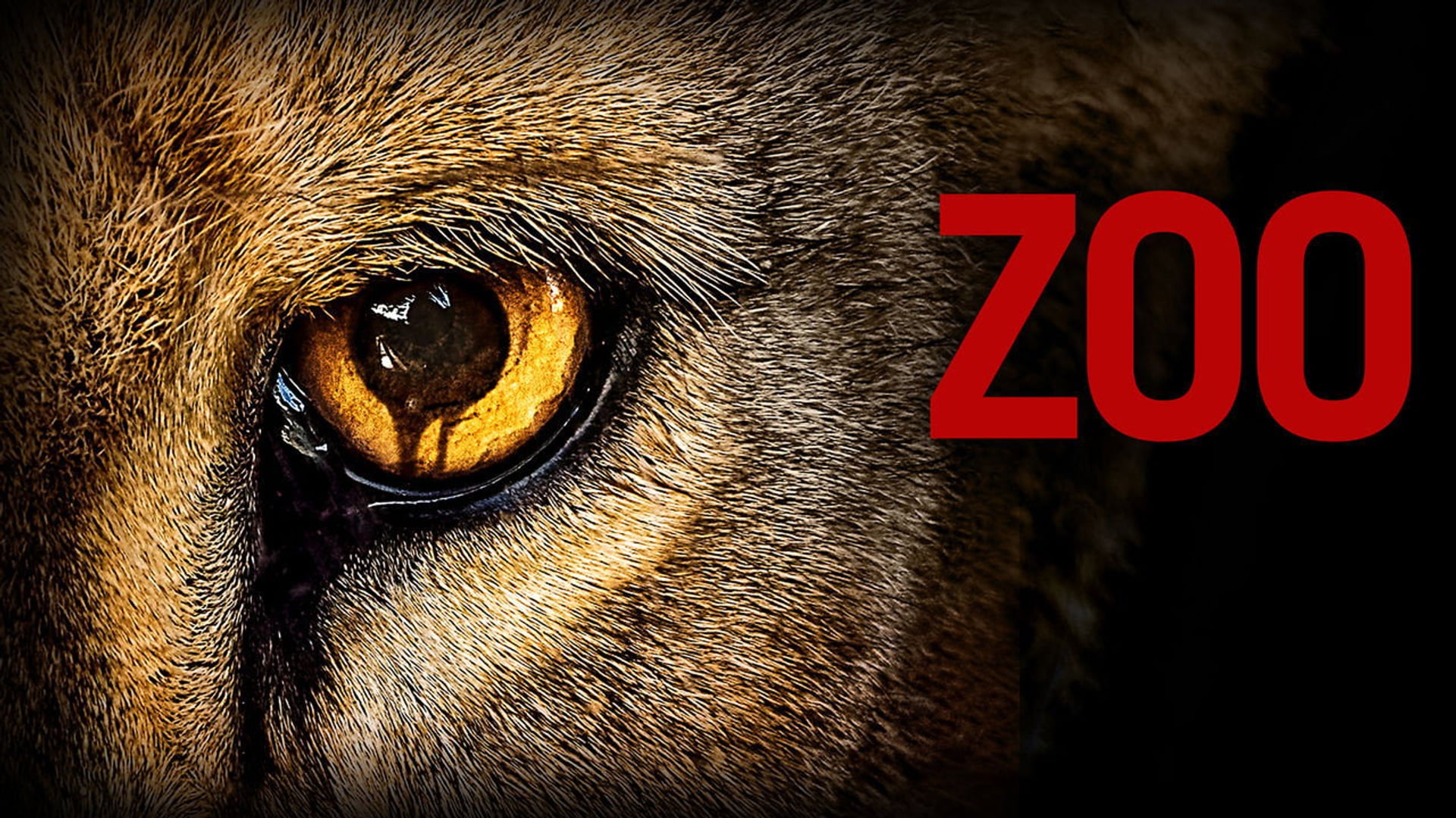 Foto do filme Zoo