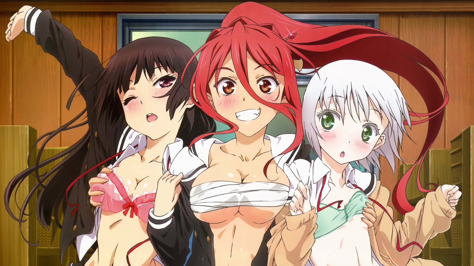 Foto do filme Onii-chan Dakedo Ai sae Areba Kankei nai yo ne