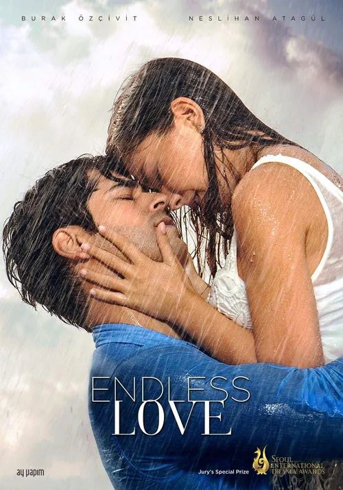 Amor Sem Fim