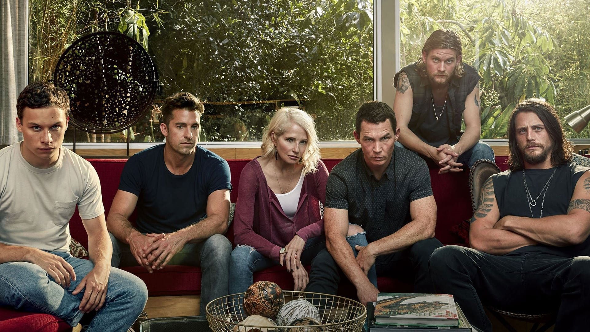 Foto do filme Animal Kingdom
