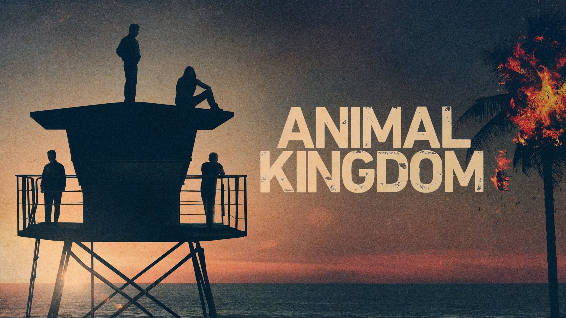 Foto do filme Animal Kingdom