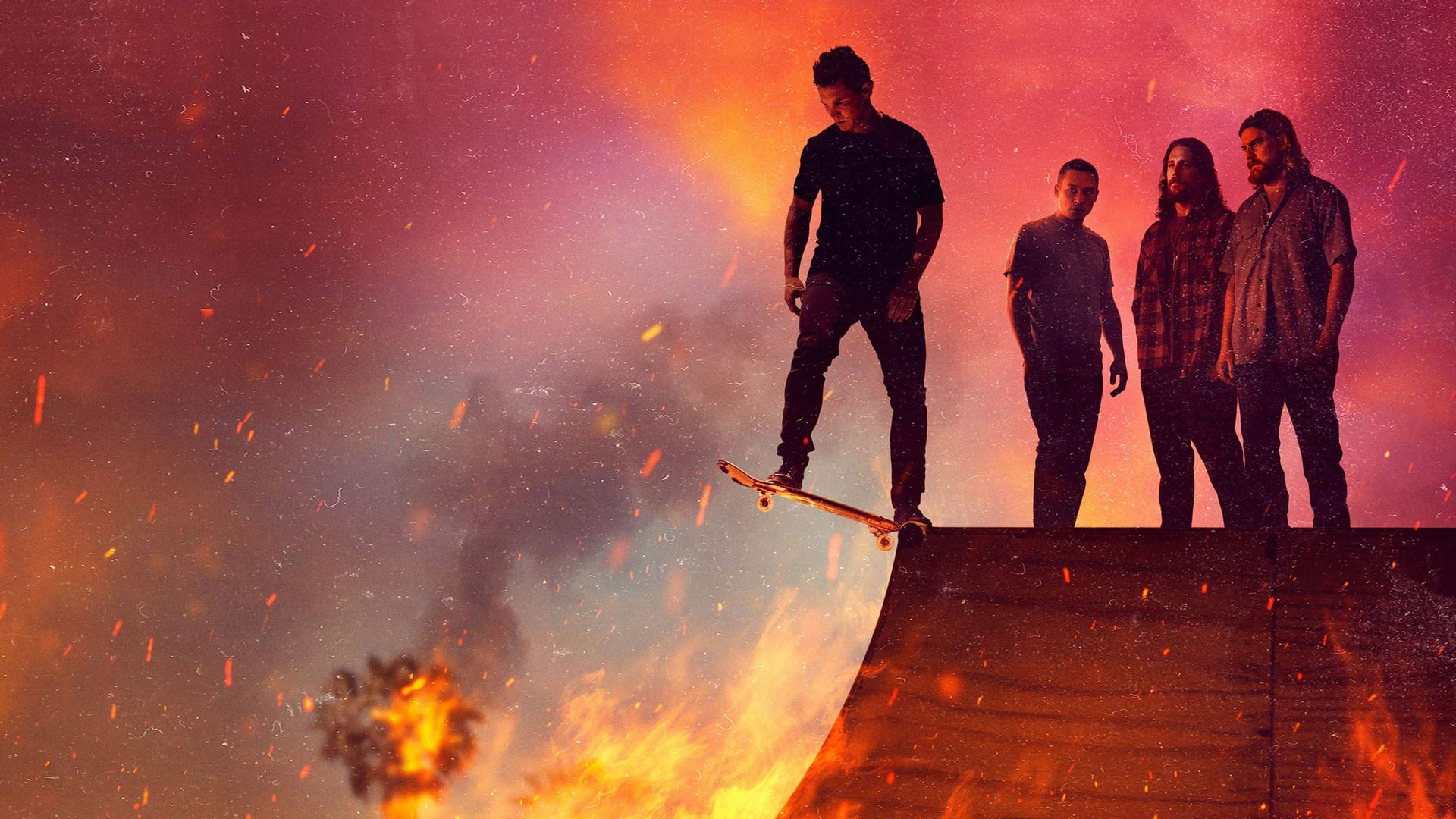 Foto do filme Animal Kingdom