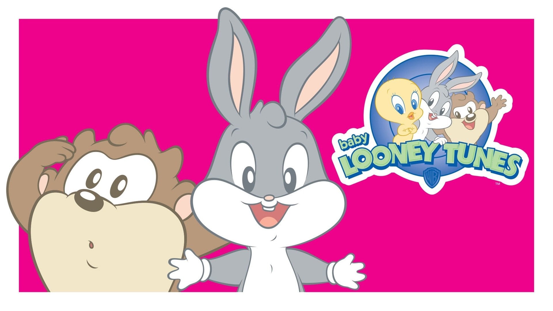 Foto do filme Baby Looney Tunes