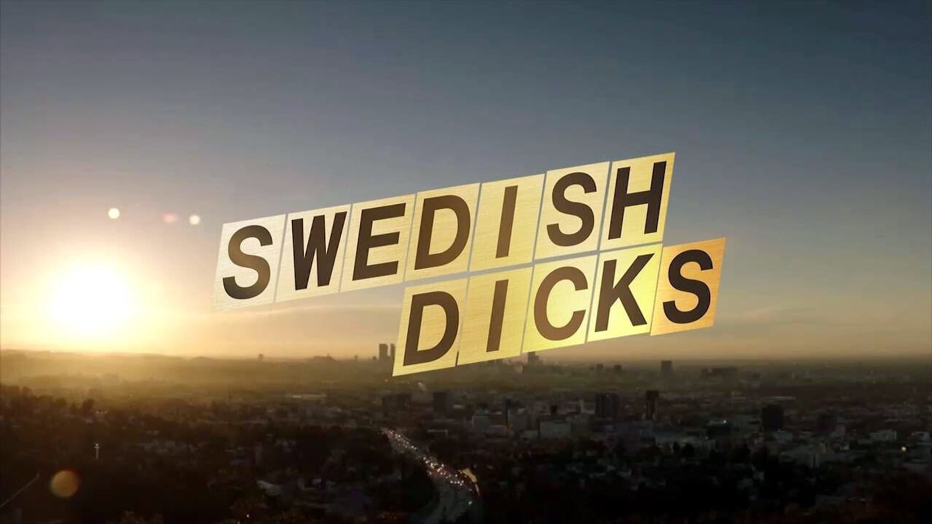 Foto do filme Swedish Dicks