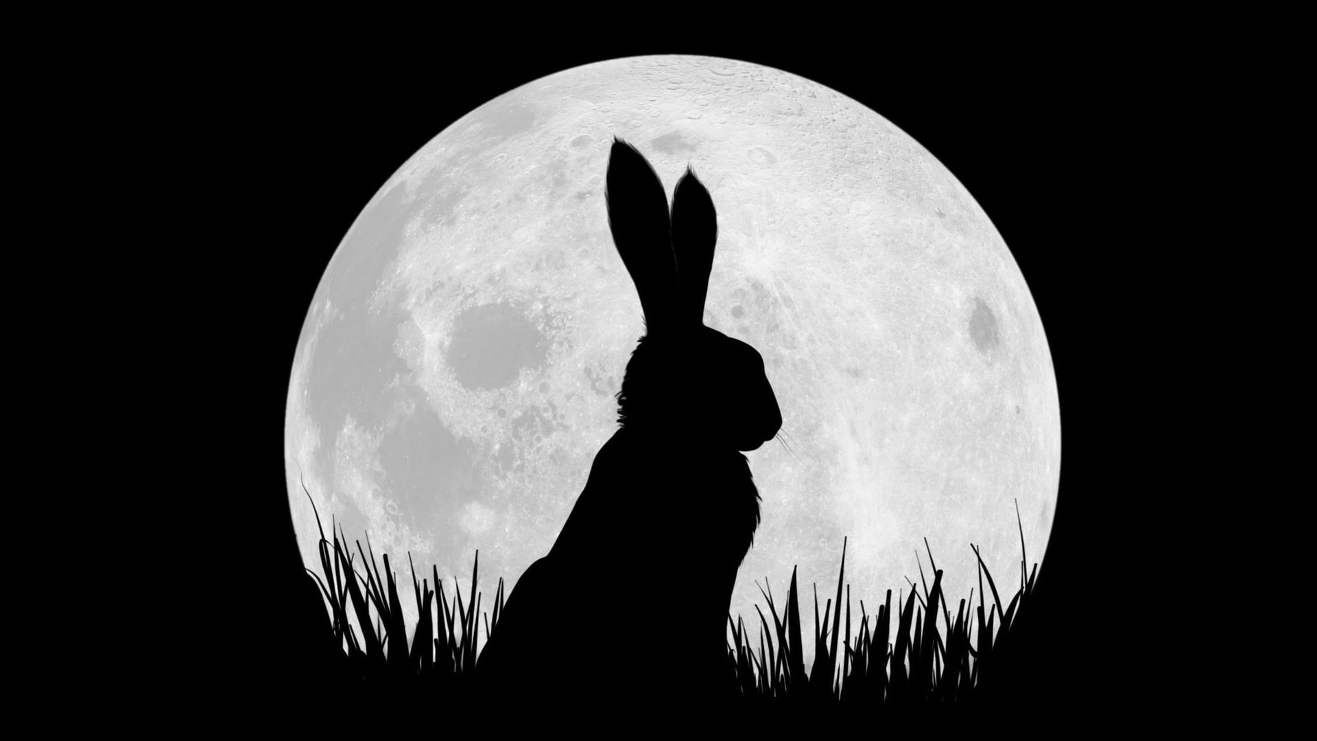 Foto do filme Em Busca de Watership Down