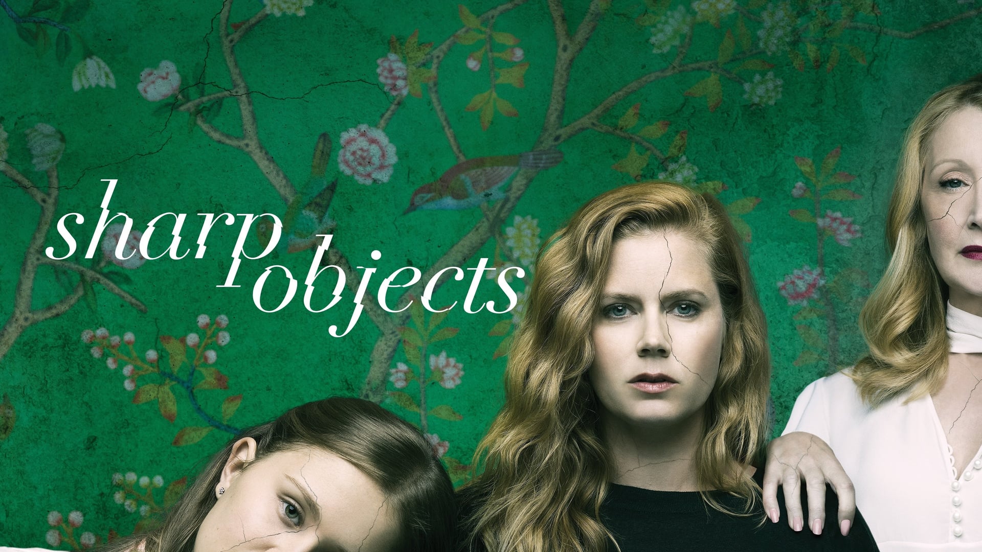 Foto do filme Objetos Cortantes
