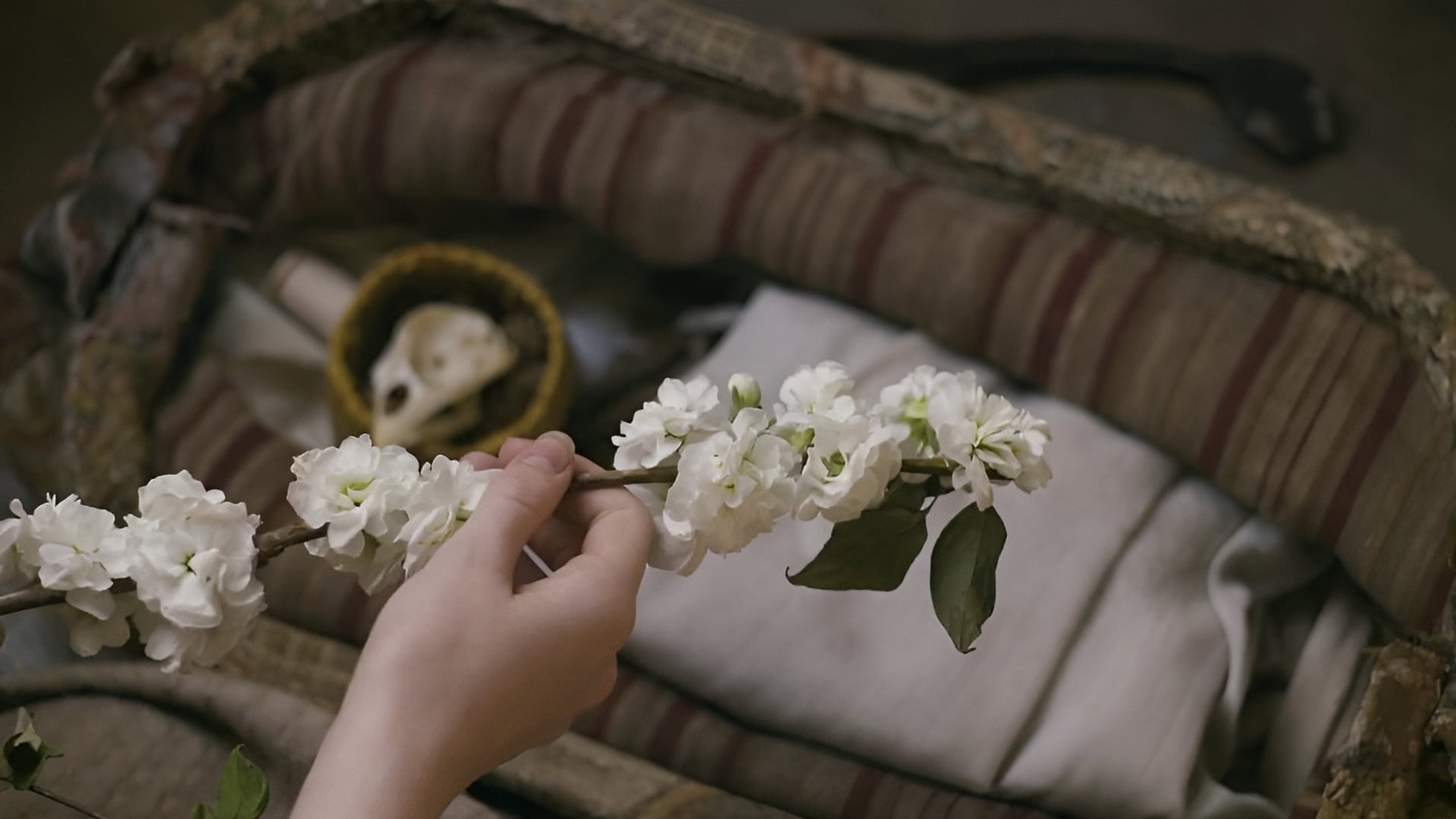 Foto do filme Anne com um "E"