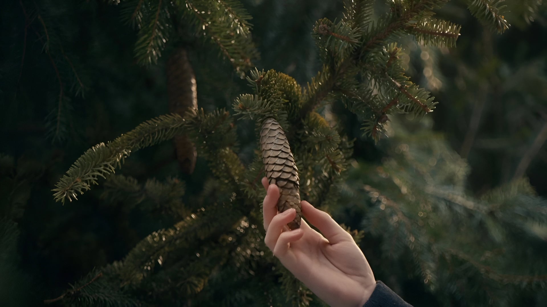 Foto do filme Anne com um "E"