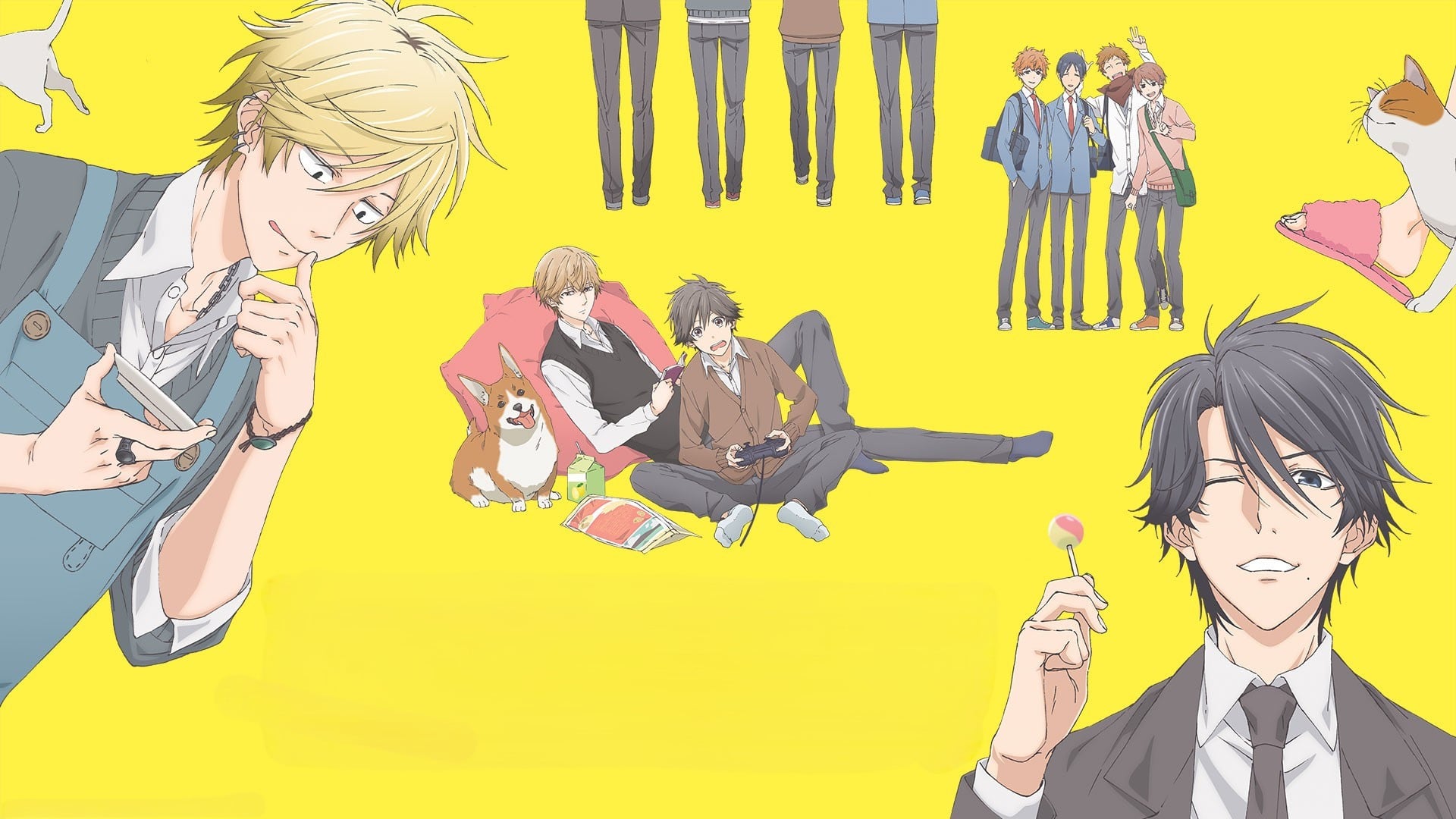 Foto do filme Hitorijime My Hero