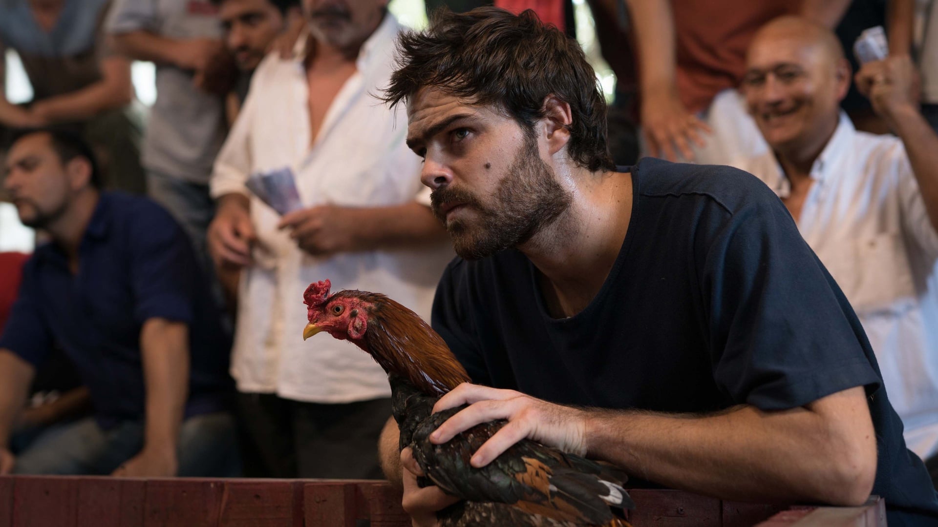 Foto do filme Um Galo para Escapulário