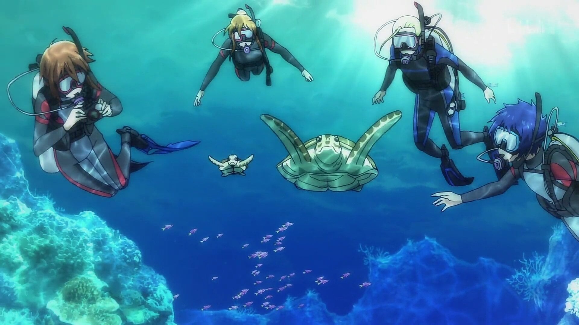 Foto do filme Grand Blue Dreaming