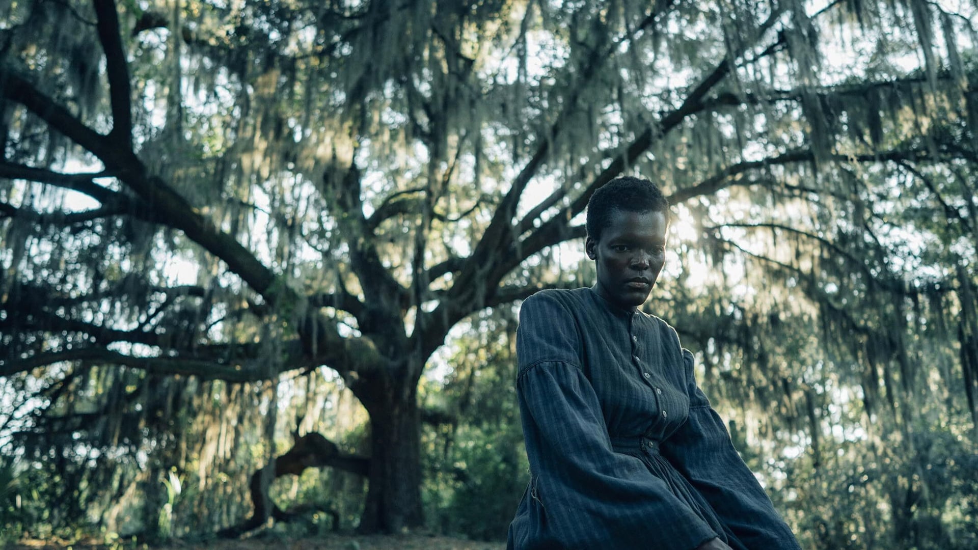 Foto do filme The Underground Railroad: Os Caminhos para a Liberdade