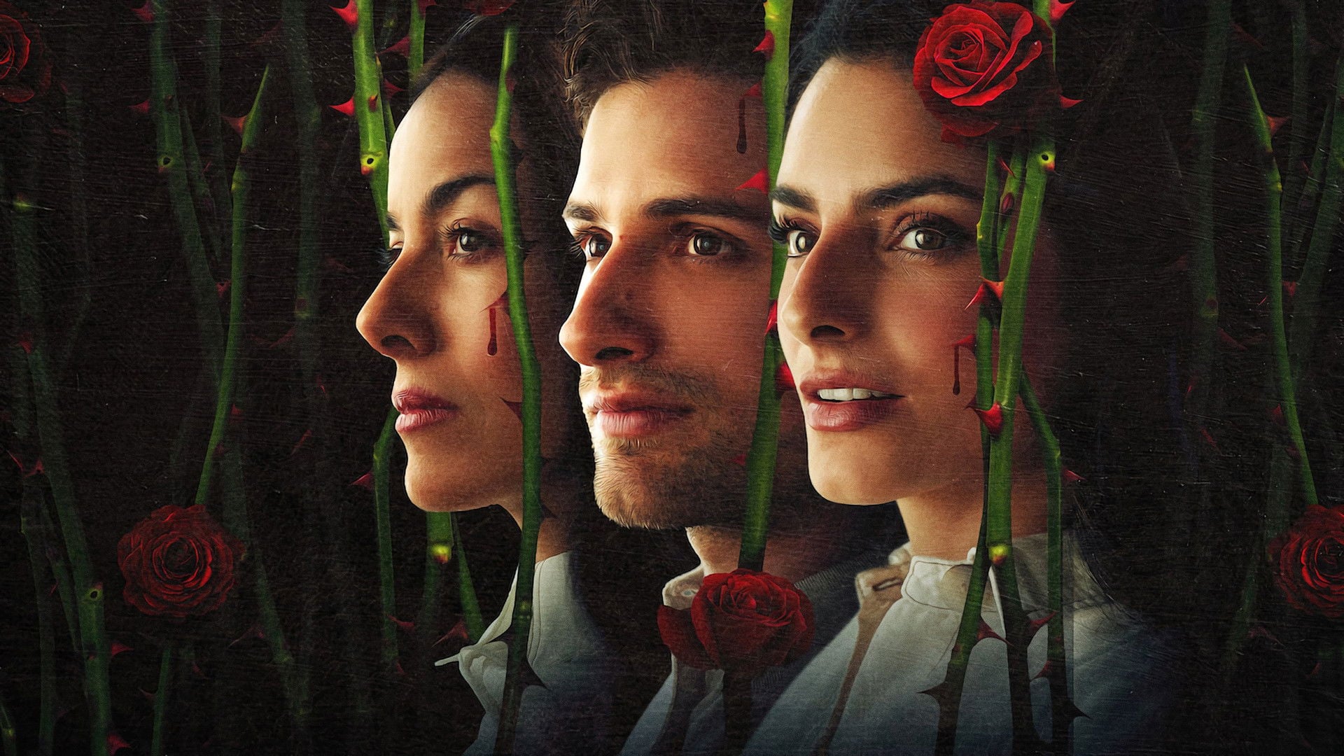 Foto do filme La casa de las flores