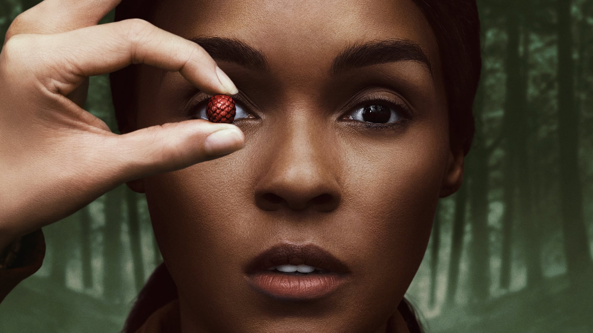 Foto do filme Homecoming: De Volta à Pátria