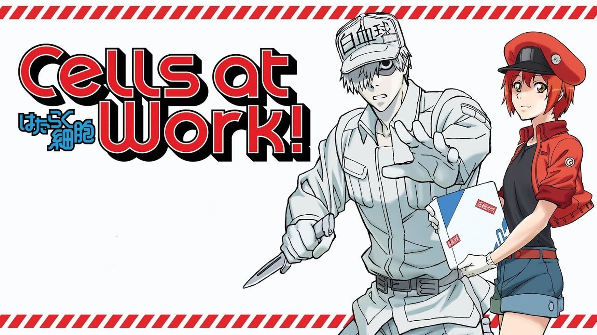 Foto do filme Cells at Work!