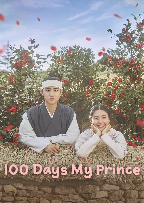 100 Days My Prince