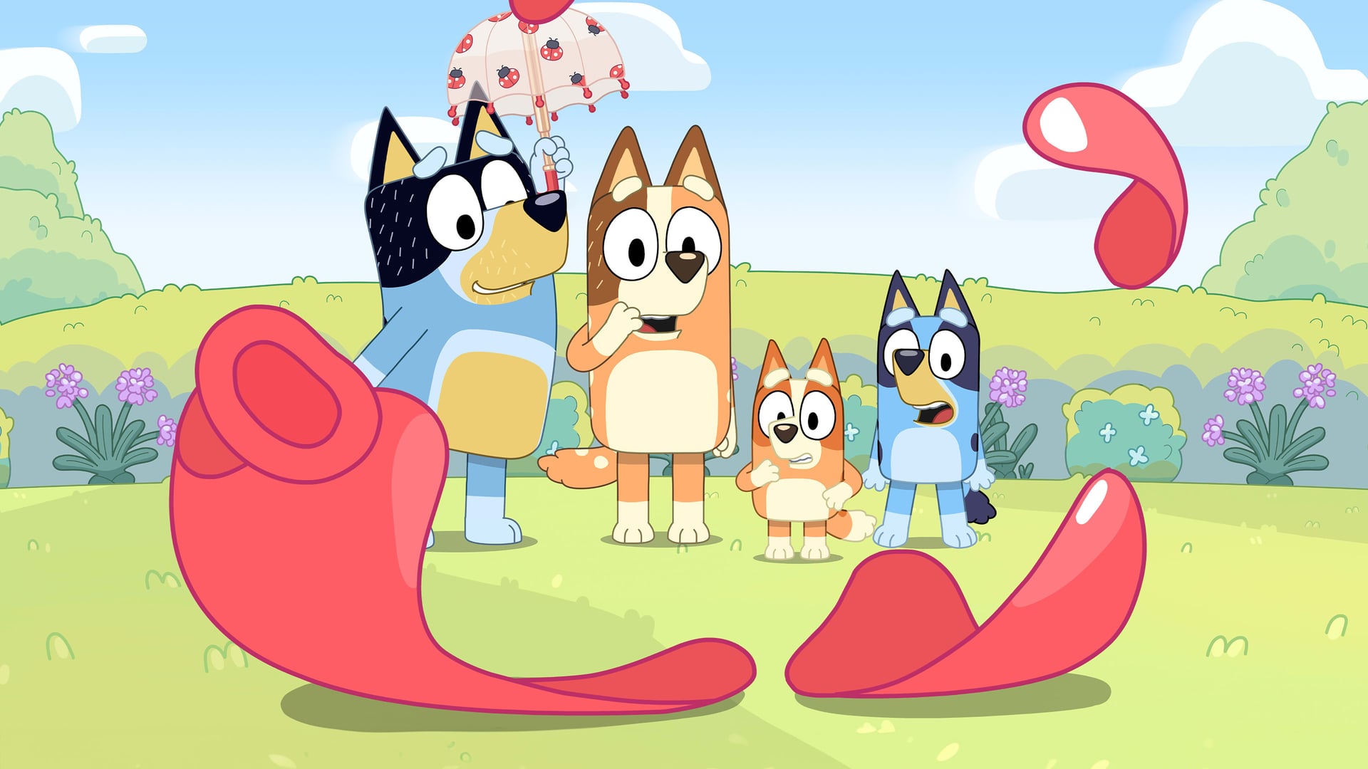 Foto do filme Bluey