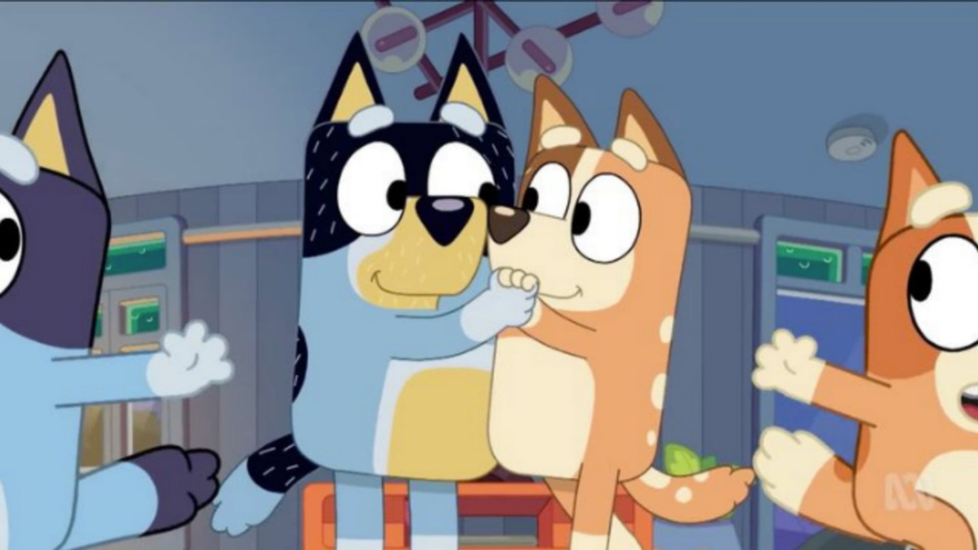 Foto do filme Bluey