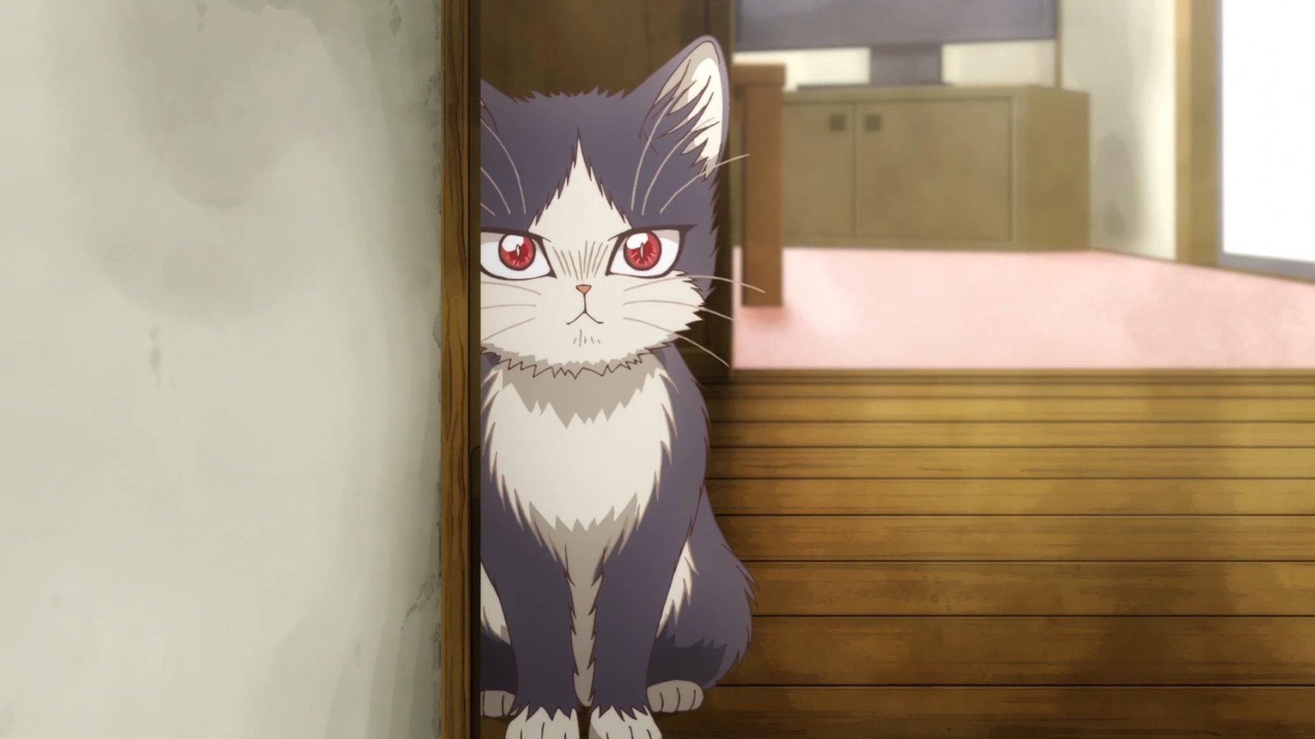 Foto do filme My Roommate is a Cat