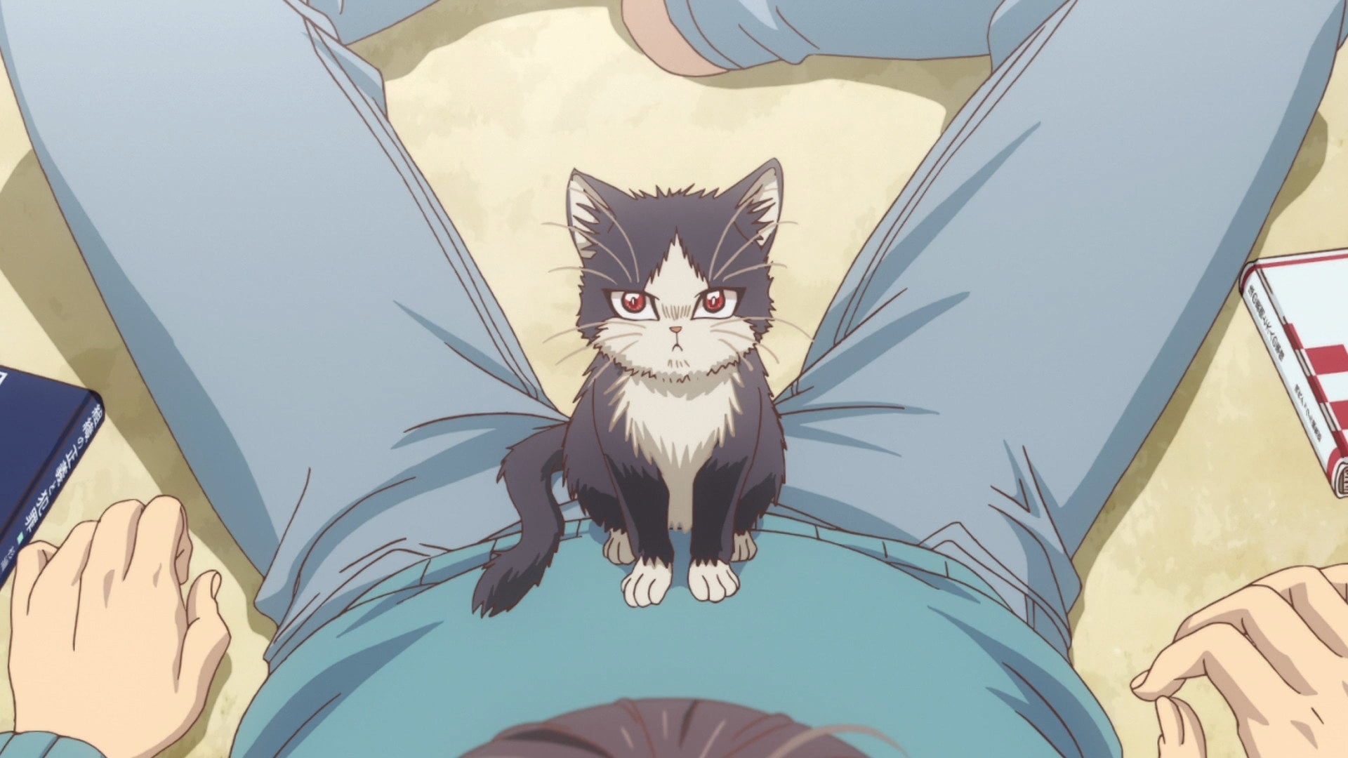 Foto do filme My Roommate is a Cat