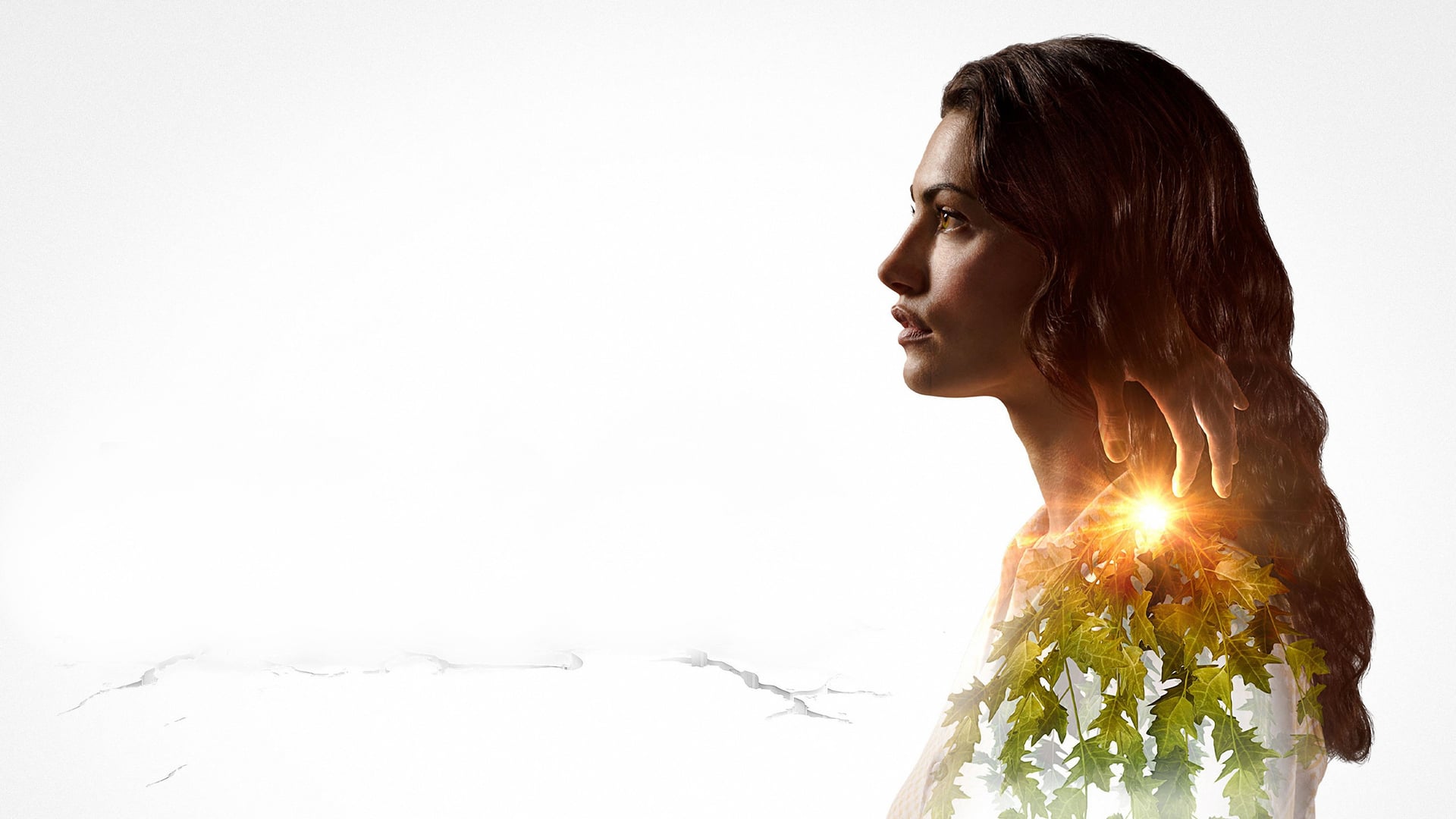 Foto do filme Bloom