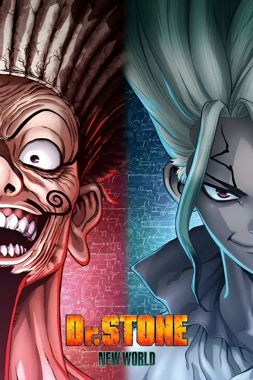 Dr. Stone