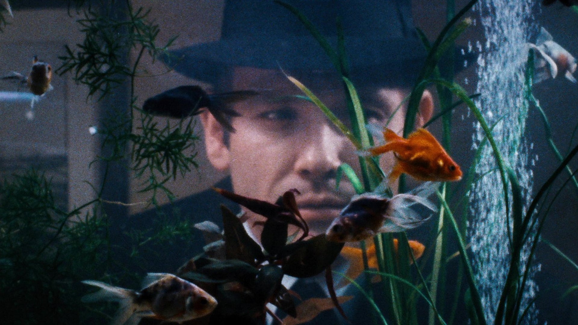Foto do filme Welt am Draht