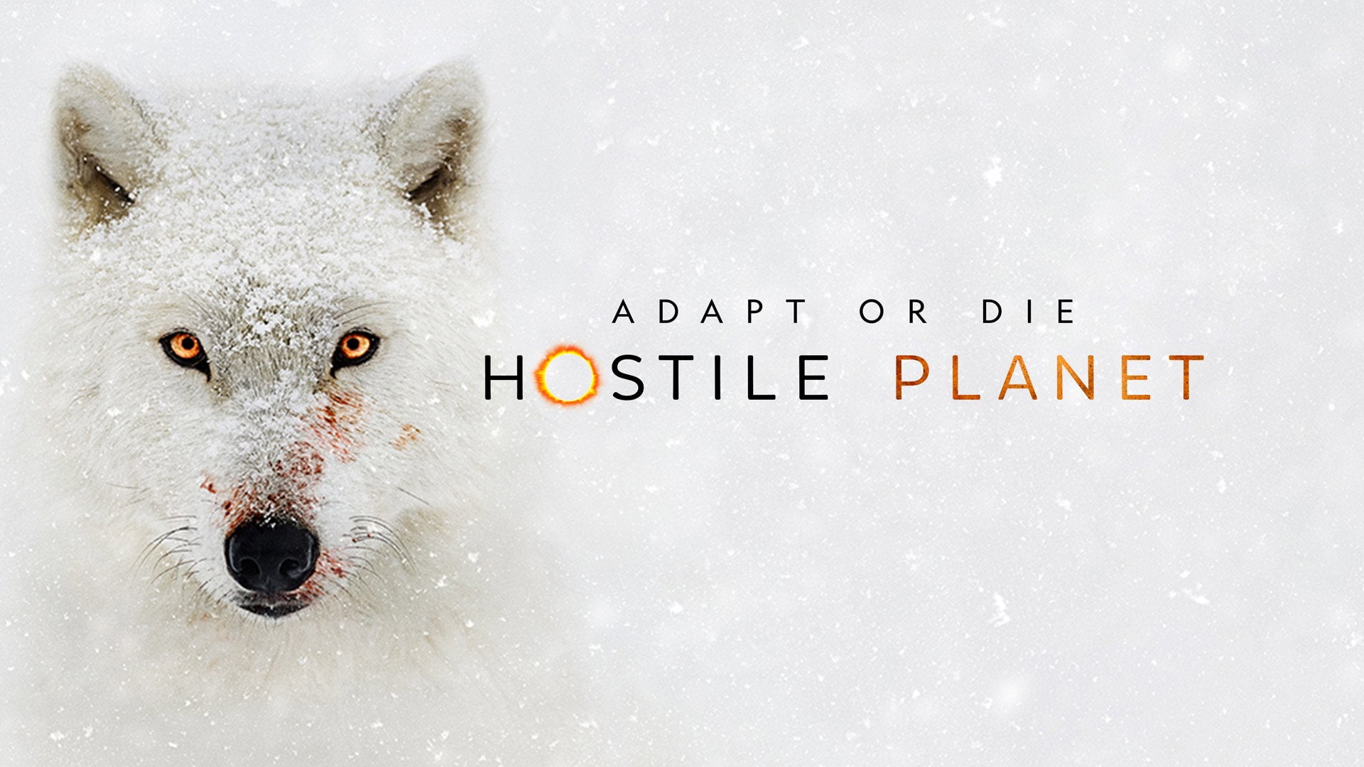 Foto do filme Planeta Hostil
