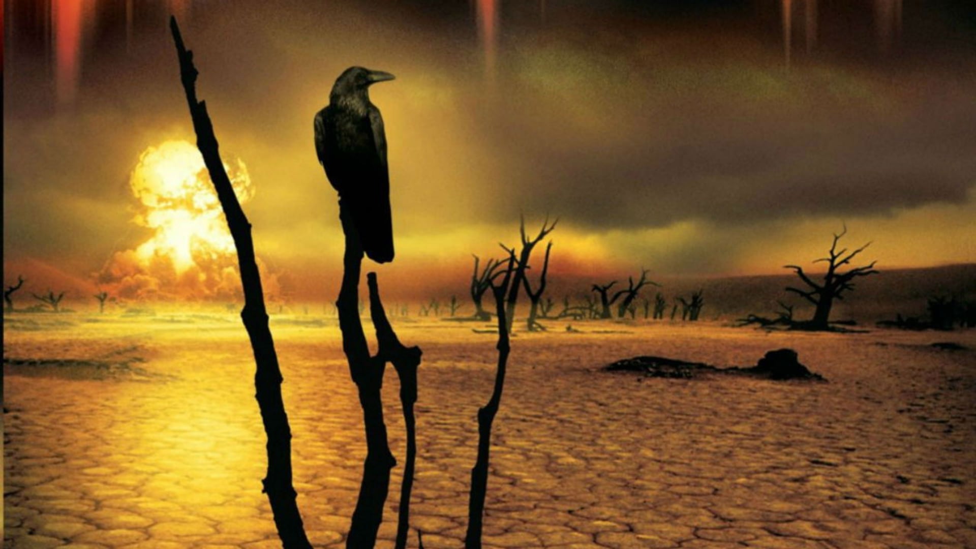 Foto do filme A Dança da Morte