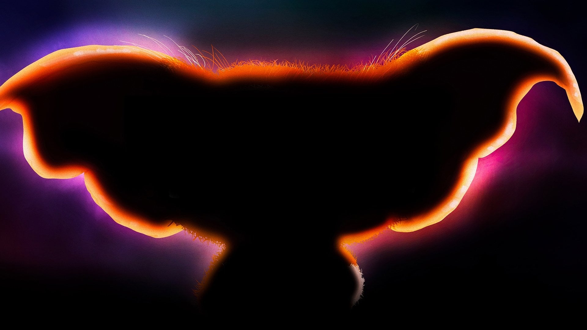 Foto do filme Gremlins: Segredos dos Mogwai