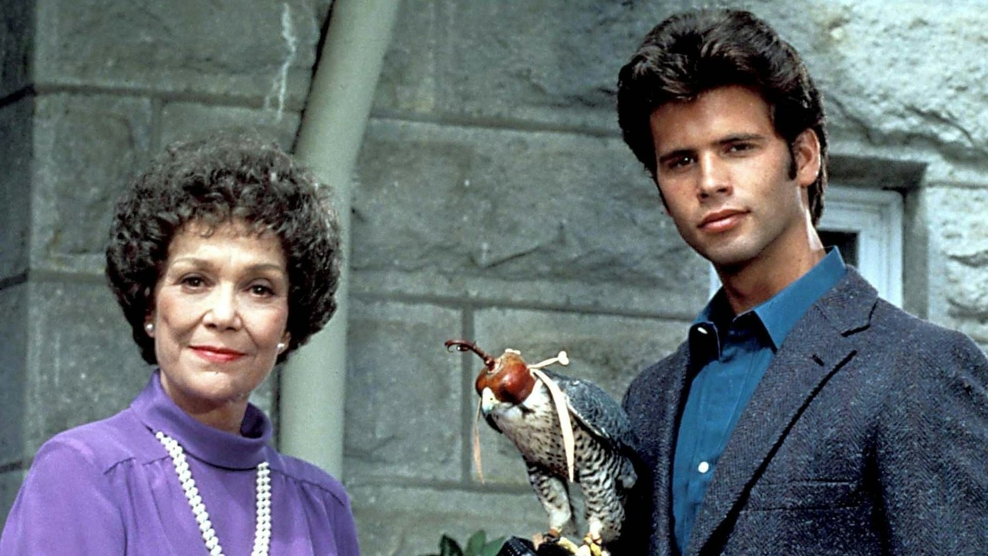Foto do filme Falcon Crest