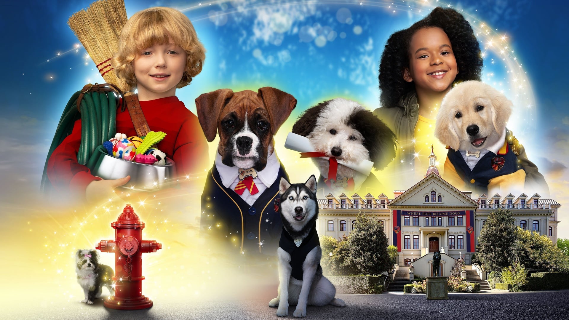 Foto do filme Aucademia