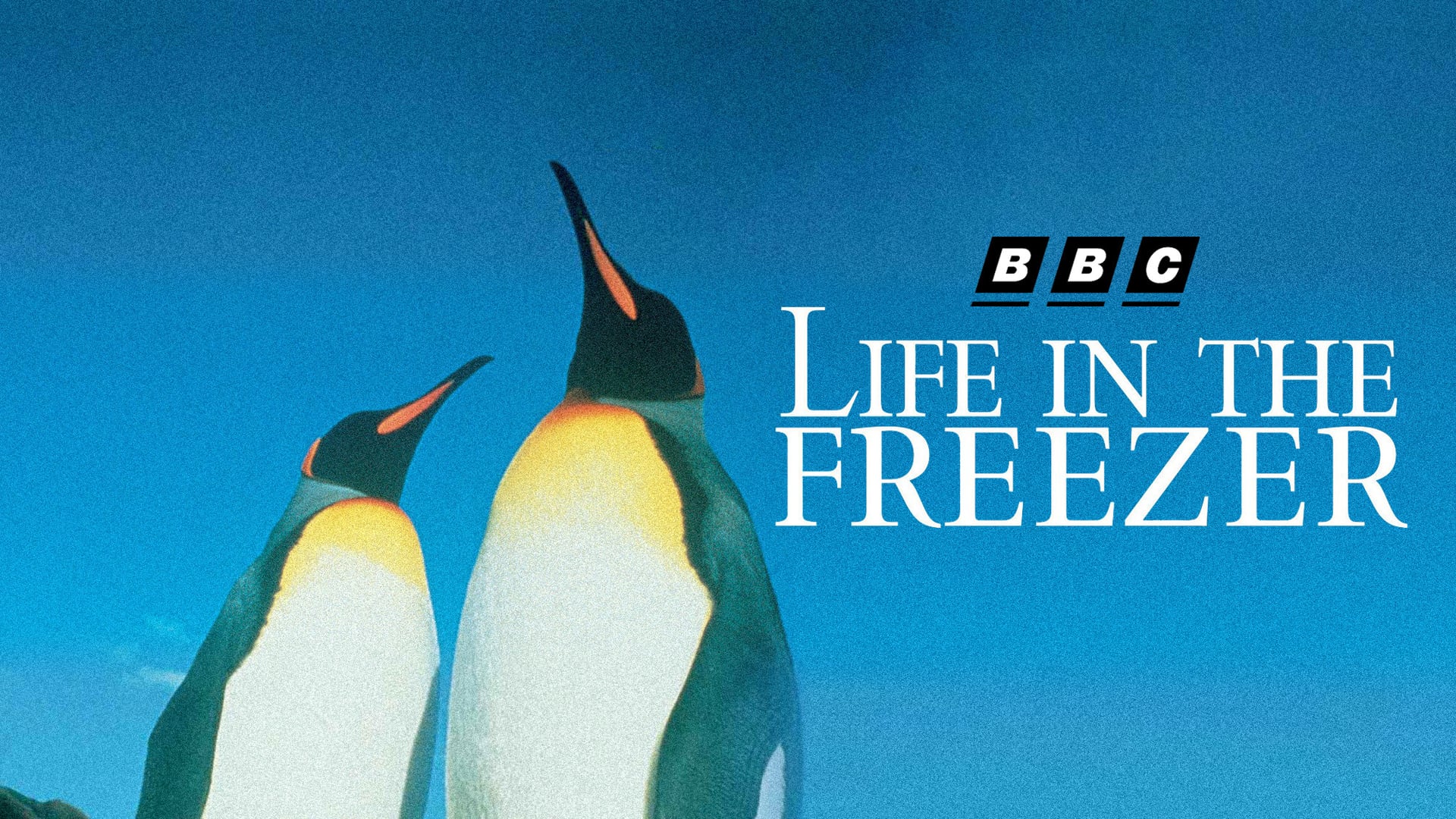 Foto do filme Life in the Freezer